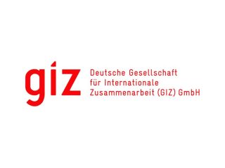 GIZ Logo (1)
